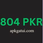 804 PKR Download