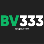 BV333 Game Official Logo