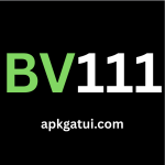 BV111 Game Official Logo