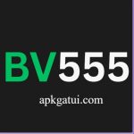 BV555 Game Official Logo