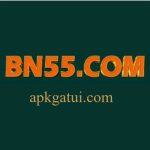 BN55 Game Download
