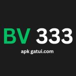 BV 333 Game Official Logo