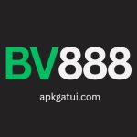 BV888 Game Official Logo
