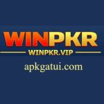 PKR77 Game Official Logo