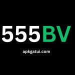 555BV Game Official Logo