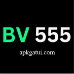 BV 555 Game Official Logo