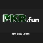 PKRFUN Game Official Logo